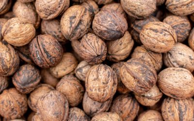 When life gives you walnuts, make nocino!