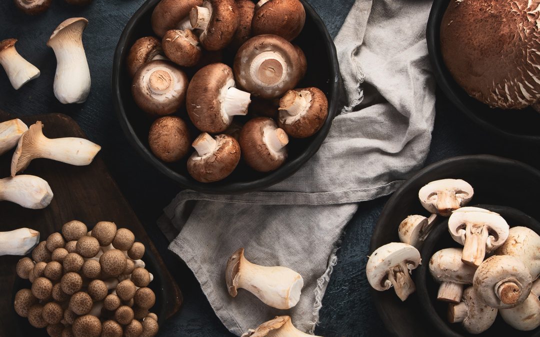 Mushrooms, a versatile ingredient at the base of tasty fall recipes