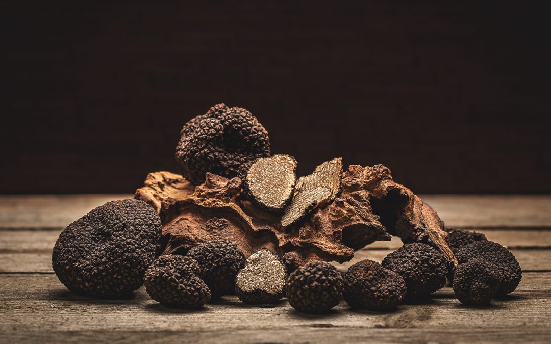 Truffle, a precious ingredient that gives a unique aroma to every recipe