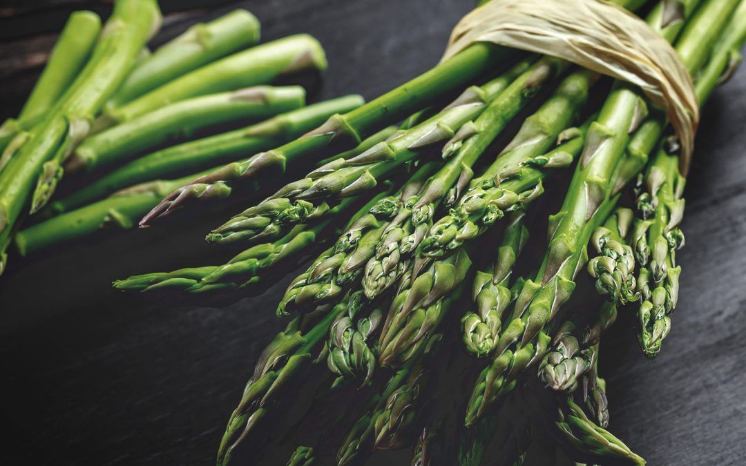 Spring asparagus season